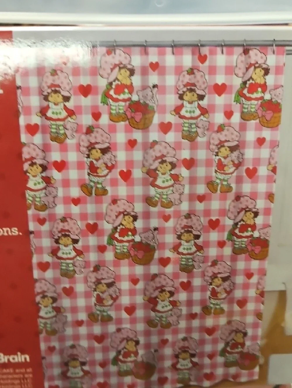 Strawberry Shortcake Pink Gingham 13pc Shower Curtain Set